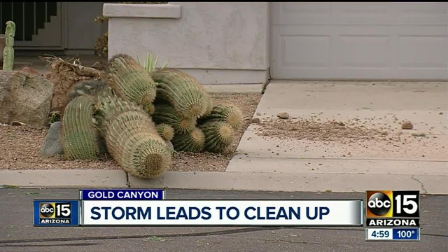 Gold Canyon heavily damaged after downburst winds struck