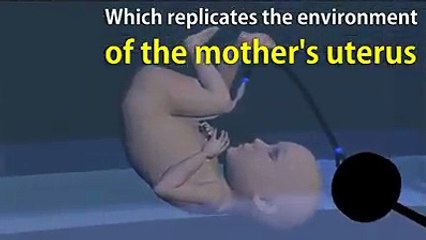 Artificial womb could allow babies to develop outside the mother’s uterus