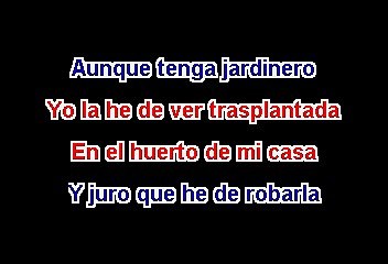 CUCO SANCHEZ - LA FERIA DE LAS FLORES (KARAOKE)