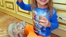 Gatitos fiesta broma video Niños para y Broma a Simcoe dibuja gatos con nastyushik