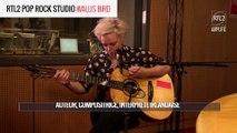 WALLIS BIRD - Teardrop RTL2 POP ROCK STUDIO
