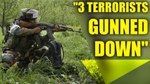 Amarnath Yatra Attack: 3 terrorists gunned down in search operation | Oneindia News