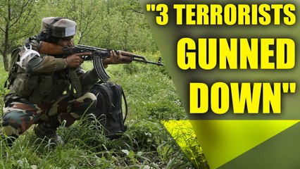 Tải video: Amarnath Yatra Attack: 3 terrorists gunned down in search operation | Oneindia News