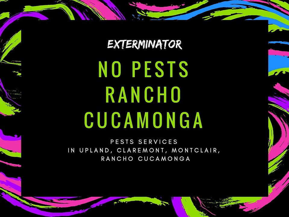 Expert Exterminator in Rancho Cucamonga, Upland, Claremont & Fontana