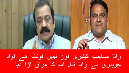 calibri font Issue Fawad Ch Making Fun of Rana Sanaullah