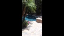 Mais qui nage dans ma piscine : un ours