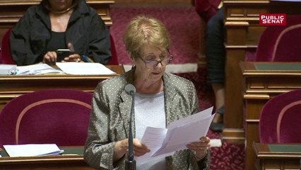 Catherine Tasca s'oppose à l'interdiction des emplois familiaux