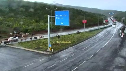 O Anlar Mobese Kamerasında.