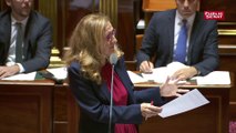 Sénat : Nicole Belloubet défend la suppression des emplois familiaux pour les parlmentaires
