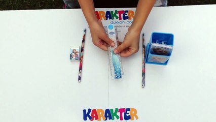 Frozen Kalem Kutusu Kalemlik - Karakter Dükkanı