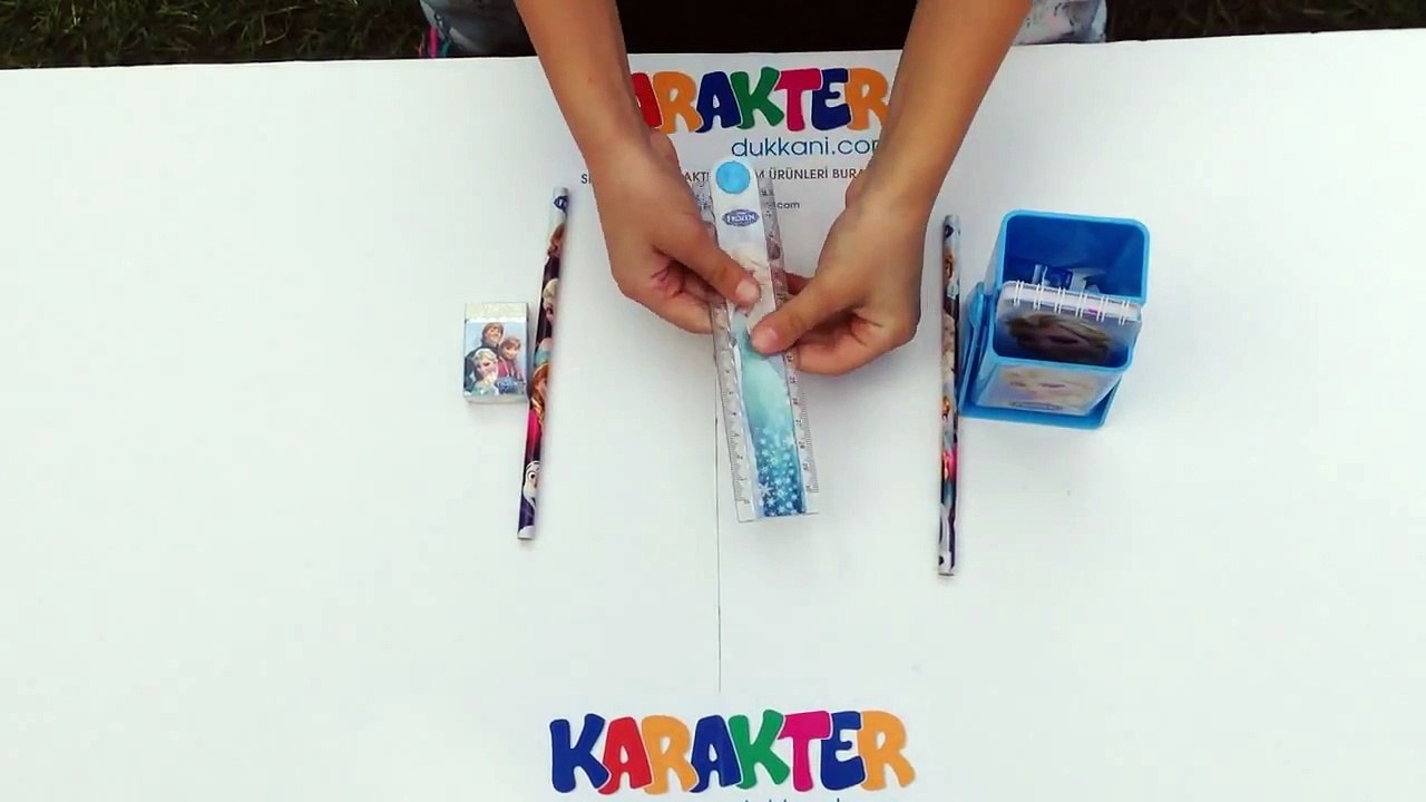 Frozen Kalem Kutusu Kalemlik - Karakter Dükkanı