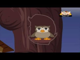 Animal Sounds in Gujarati - Owl (HD)