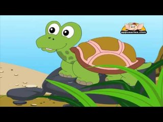 Animal Sounds in Gujarati - Tortoise