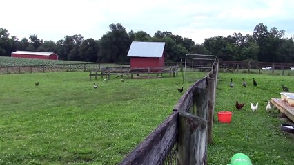 Une petite balade en file indienne !