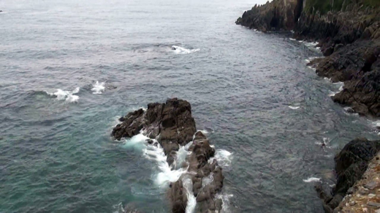 Denunciadas 3 personas por la extracción ilegal de 38,5 kilos de percebe en Cudillero, Asturias