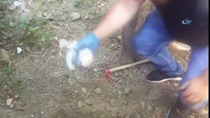 Beyoğlu'nda Toprağın Altından Zehir Çıktı