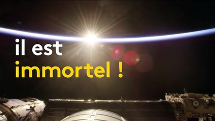 Envoyé dans l'espace, ce ver revient sur Terre avec... deux têtes