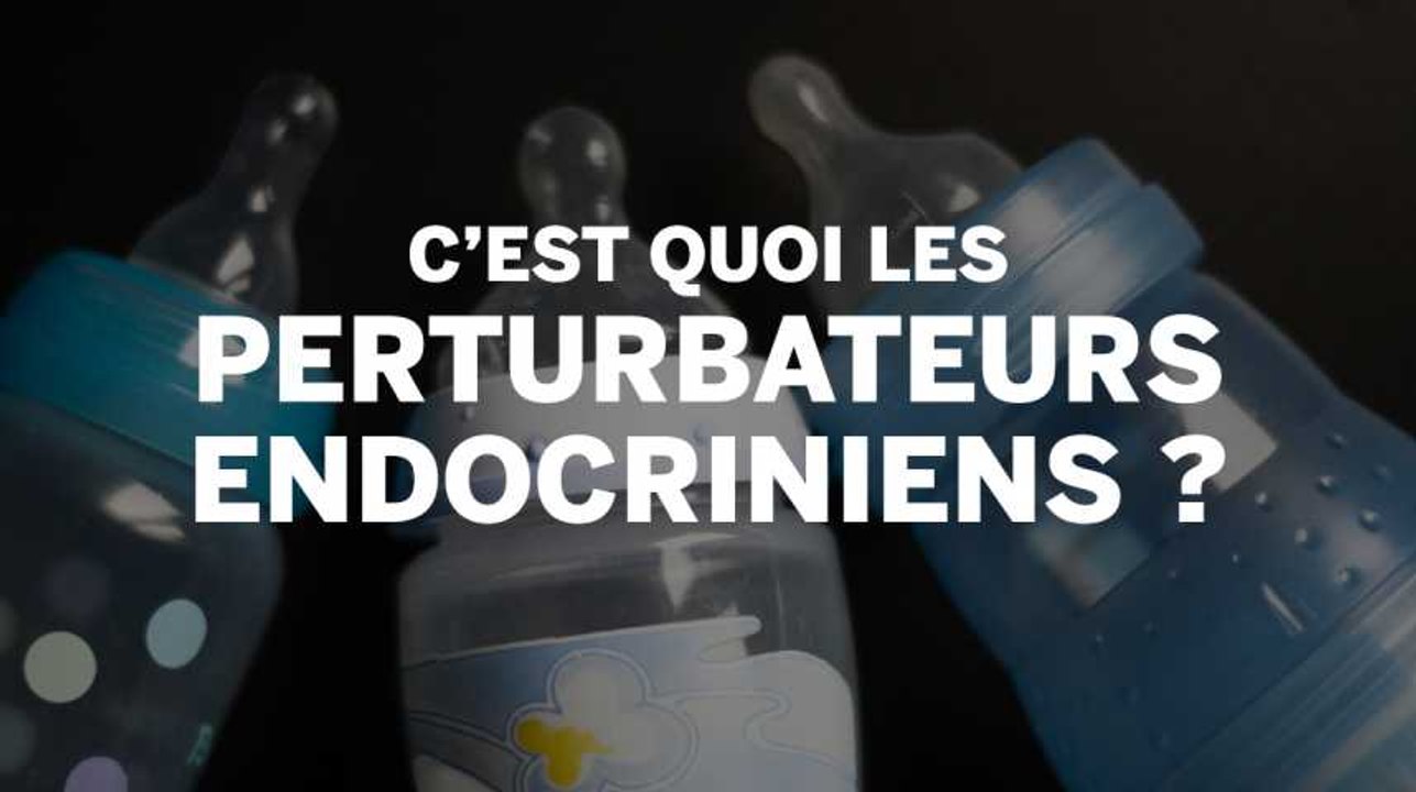Comment fonctionnent les perturbateurs endocriniens ?