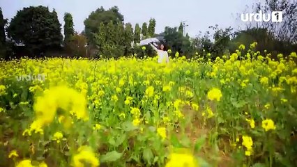 Kesi Ye Paheli - Episode 5 | Urdu1