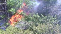 Temperaturat e larta, shënohen 9 vatra zjarri - Top Channel Albania - News - Lajme