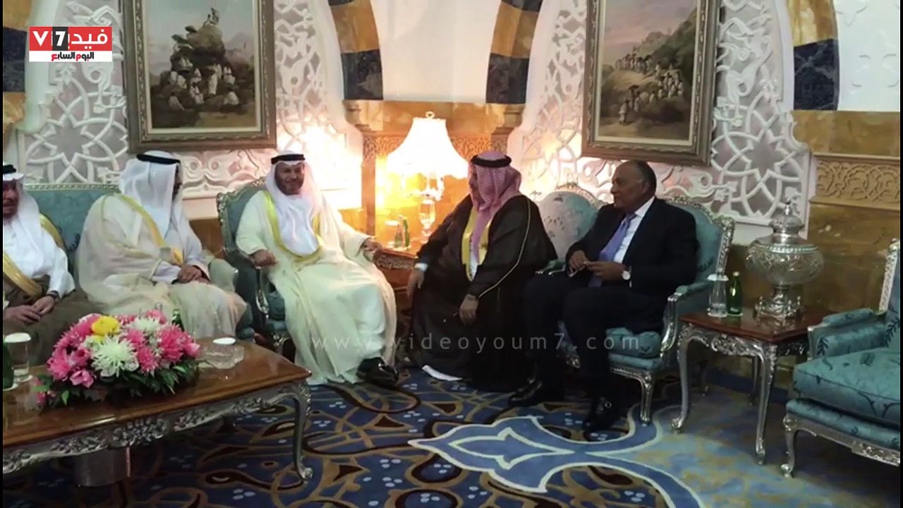 اجتماع سامح شكرى مع وزراء الخارجية العرب