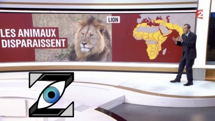 [Zap Télé] CATASTROPHE, 50% des animaux sauvages ont disparu en 40 ans ! (12/07/17)