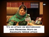 ‘It’s an attack on brotherhood’, says Mehbooba Mufti on Amarnath terror attack