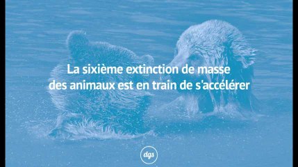 La sixième extinction de masse des animaux est en train de s'accélérer