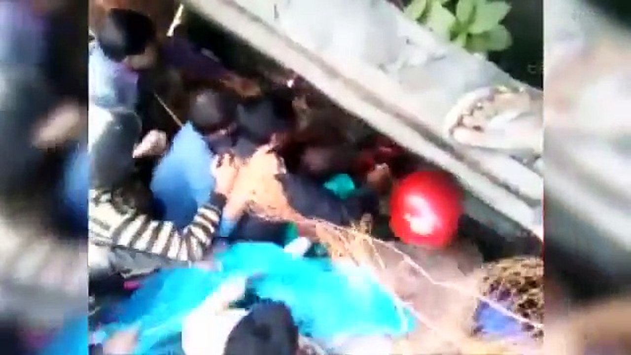 HORRIFYING ANIMAL ATTACK Wild leopard wreaks havoc  attacking