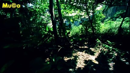 John Kaizan Neptune - Golden Lotus (Buddha Bar Classics HD) Mu©o