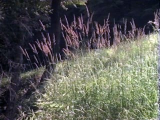 1x22 El último cigarro del Señor Bigalow - Cuentos del más allá 1983