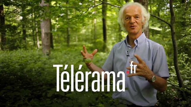 ERNST ZÜRCHER, EXPERT EN LANGUE DES BOIS