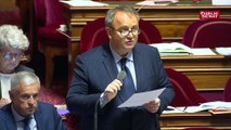Partis politiques : le Sénat limite les dons aux Français et aux résidents de France