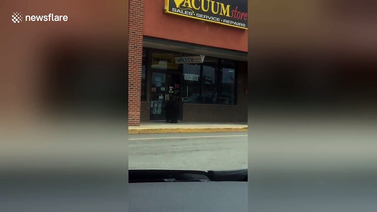 Wild bear spotted outside supermarket