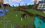 Edición Educación física bolsillo venta sucio venta remolque minecraft 1.1 oficial 2017 hoy | malas noticias