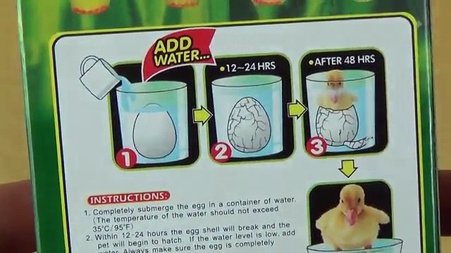 Выращивание сюрприз Магия яйцо Открытие Утка динозавр и фламинго домашнее животное игрушка