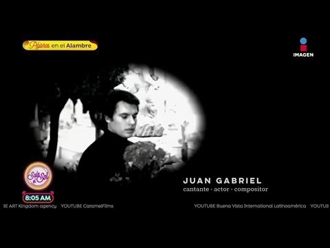 Ganadores y homenajeados de los premios Ariel | Sale el Sol