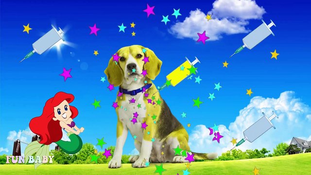 Wrong Heads Wrong Colors With Funny Animals | LEARN Farm Animals for Kids Finger Family Nursery Song