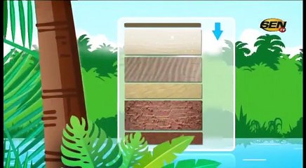 SEN SHOW du mercredi 05 juil. 2017