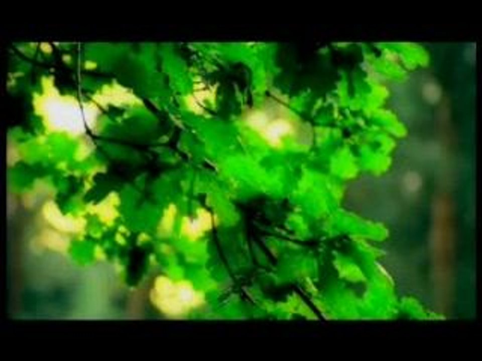 Mylene - Laisse Le Vent...