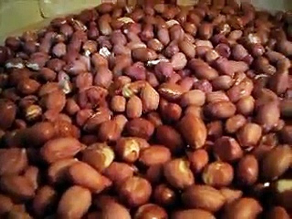 Como-Torrar-Amendoim-no-Micro-Ondas-em-9-minutos-Por-Raquel-Receitas-e-Dicas -