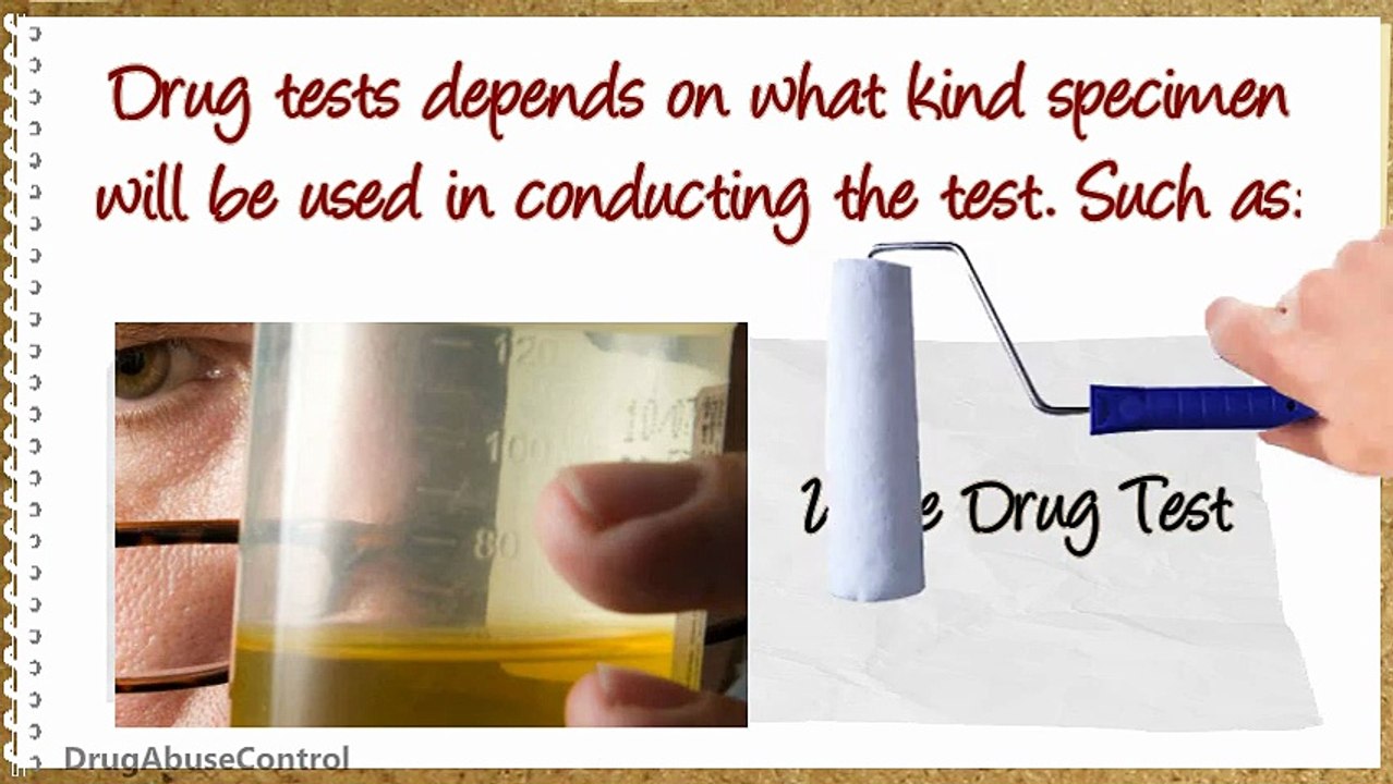 Know Five Types of Drugs with 5-Panel Drug Test