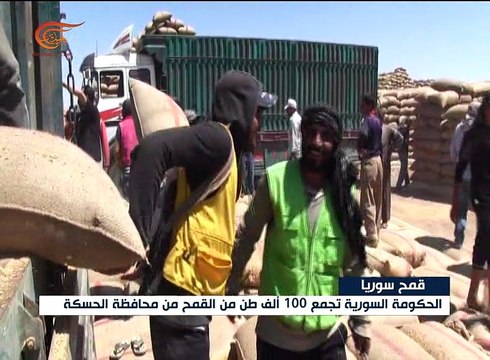 محافظة الحسكة السورية تسلّم أكثر من 100 ألف طن من القمح
