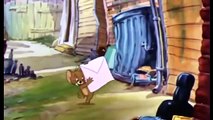 Tom and Jerry Cartoon Tom and the Gold Fish