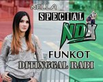 Ditinggal Rabi DJ Remix Nella Kharisma ft NDX AKA Funkot