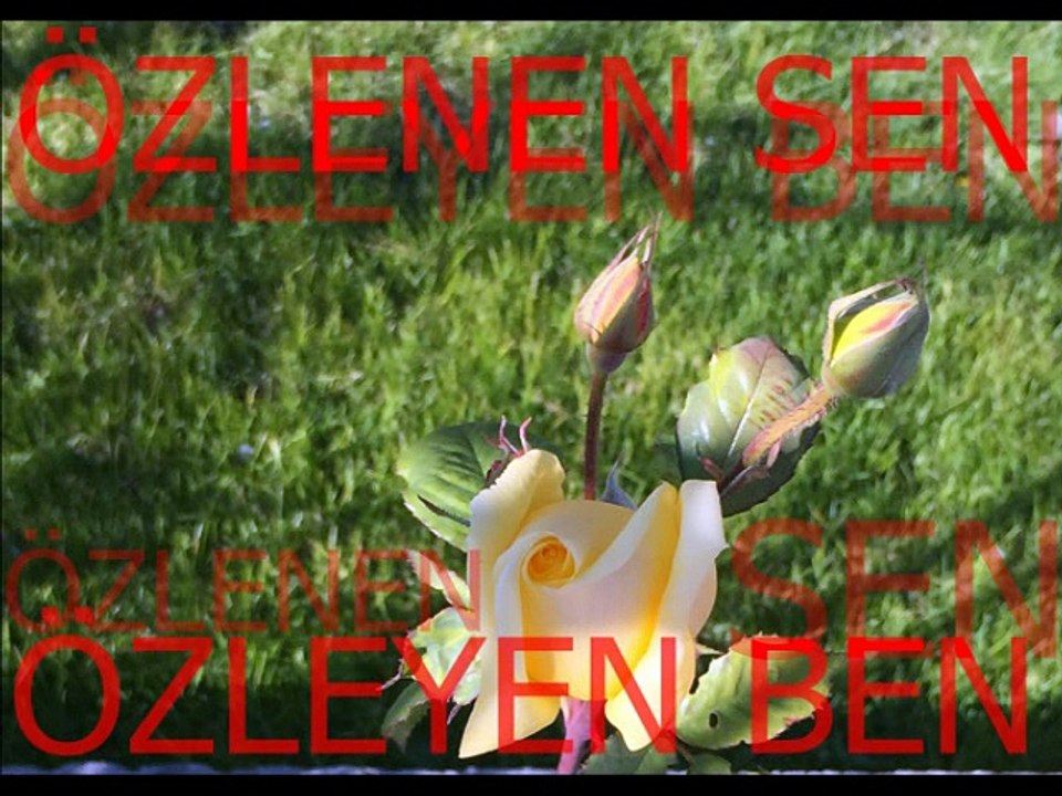 Zeki Müren-Neden Kaçtın Uzaklara.İçimdesin.