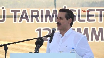 Konya Bakan Çelik, Buğday Fiyatlarını Açıkladı