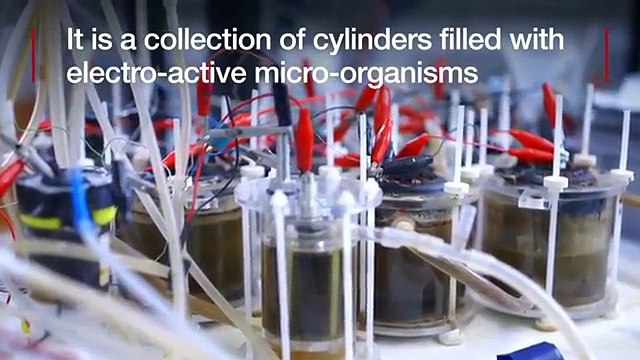 British scientists have developed a way to charge phones with power created from urine.