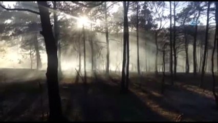 Sivas'ta Örtü Yangını