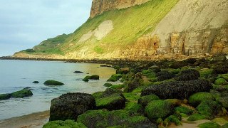 A WALK DOWN CAYTON BAY/P BLACKSHIRE